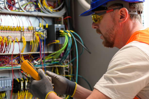 Best Electric Panel Repair  in West Columbia, TX